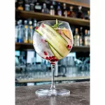 Nude Vintage Gin & Tonic Glasses 585ml (Pack of 24) - Image 3
