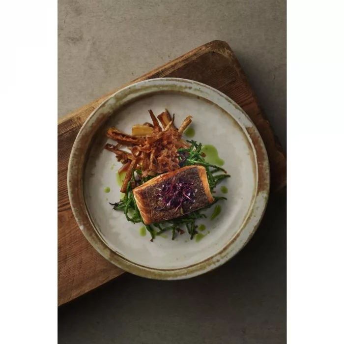 Dudson Makers Finca Sandstone Nova Plate 203mm (Pack of 12) - Image 2