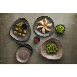 Churchill Stonecast Raw Evolve Coupe Plates Black 219mm (Pack of 12) - Image 3