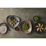 Churchill Stonecast Raw Evolve Coupe Plates Black 219mm (Pack of 12) - Image 4