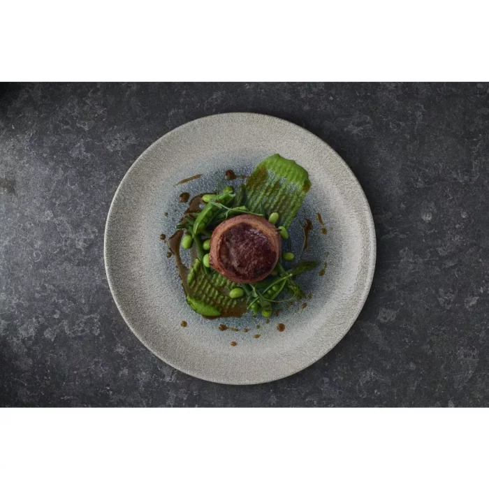 Churchill Raku Duo Agate Evolve Coupe Plate Topaz 260mm (Pack of 12) - Image 2