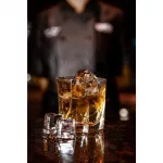 Ice-O-Matic Bistro Cube Ice Machine UCG135A - Image 6