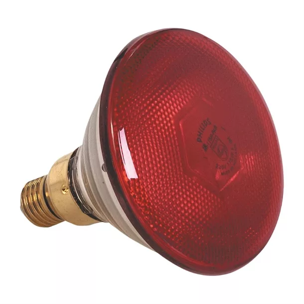 fu891_nl-23.jpg Pujadas Red Bulb 250W - Image 1