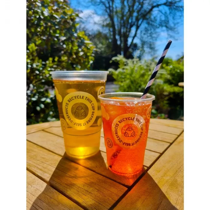 eGreen Printed TWOinONE Flexy Half-pint Glass CE Marked to Line (Pack of of 1000) - Image 4