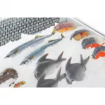 Polar G-Series Fish Display Serve Over Counter Fridge 175Ltr - Image 2