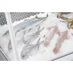 Polar G-Series Fish Display Serve Over Counter Fridge 255Ltr - Image 2