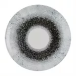 Churchill Studio Prints Fusion Black Evolve Coupe Plates 260mm (Pack of 12)
