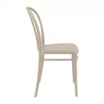 Victor Side Chair Taupe (Pack of 2) - Image 3