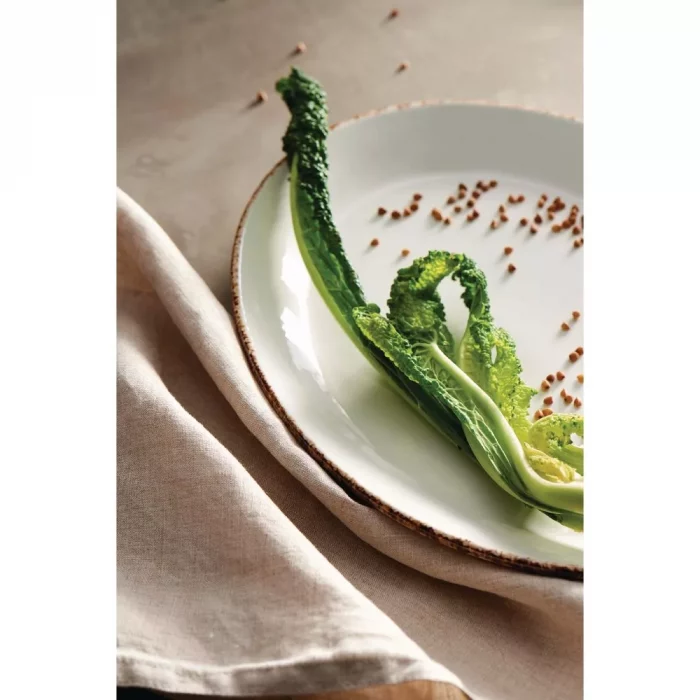 Steelite Brown Dapple Oval Coupe Plates 305mm (Pack of 12) - Image 2