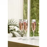 Steelite Design + Champagne Flute 166ml (Box 12)(Direct) - Image 2